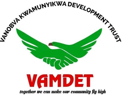 VAMDET